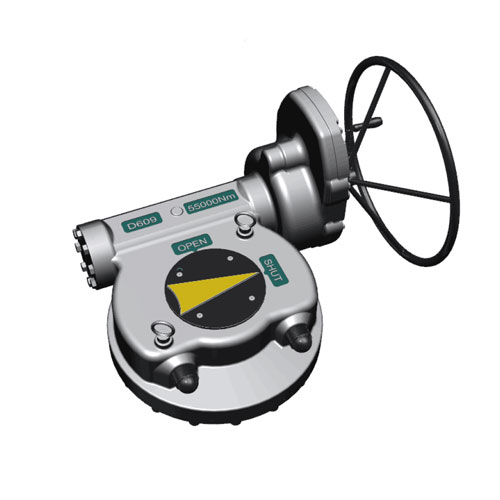 D6-Lϵ��(�ք���)